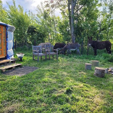 Slapen Tussen De Ezels In De Yurt Otel Aarschot Dış mekan fotoğraf