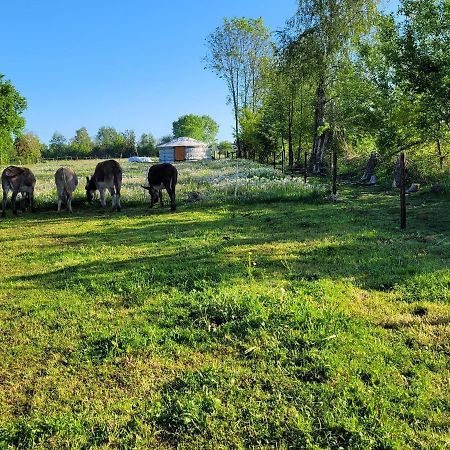 Slapen Tussen De Ezels In De Yurt Otel Aarschot Dış mekan fotoğraf