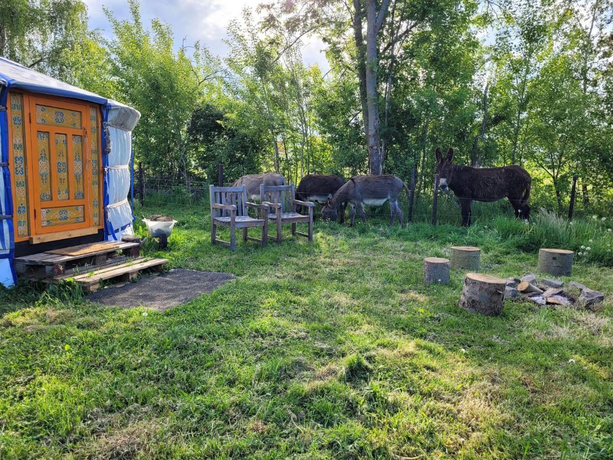 Slapen Tussen De Ezels In De Yurt Otel Aarschot Dış mekan fotoğraf