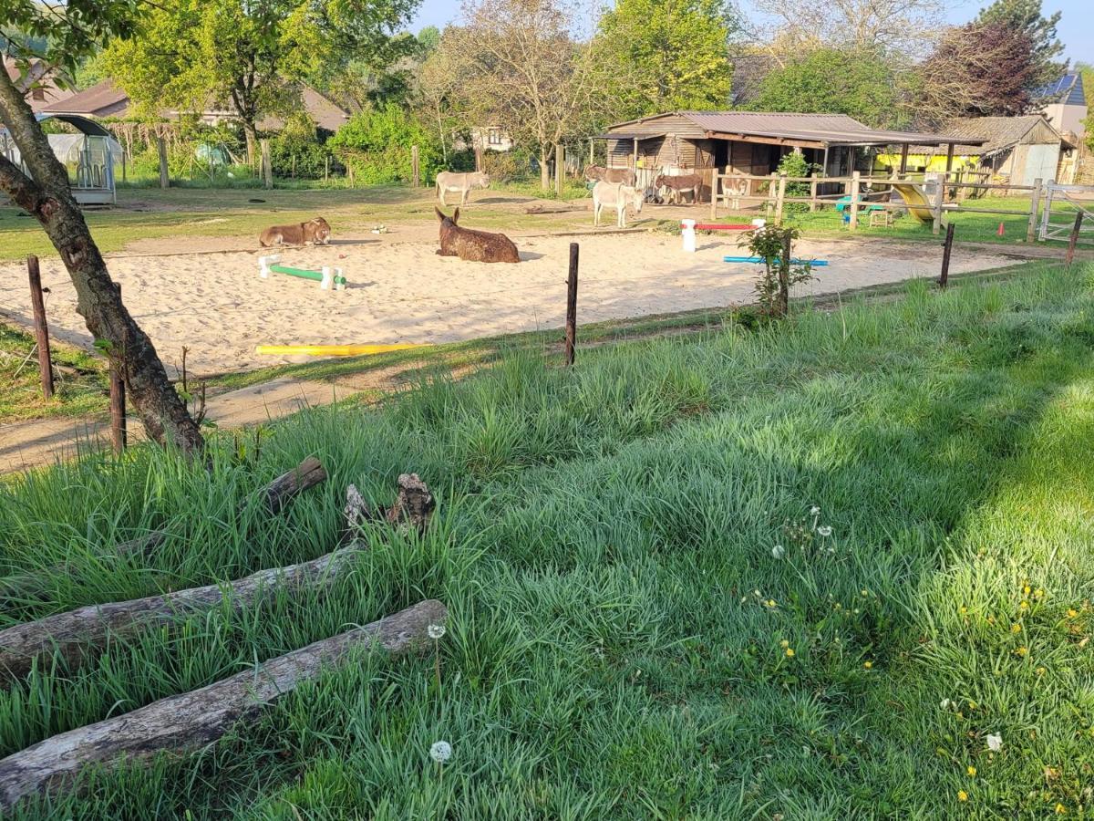 Slapen Tussen De Ezels In De Yurt Otel Aarschot Dış mekan fotoğraf
