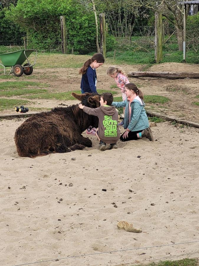 Slapen Tussen De Ezels In De Yurt Otel Aarschot Dış mekan fotoğraf